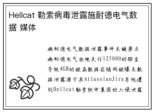 Hellcat 勒索病毒泄露施耐德电气数据 媒体