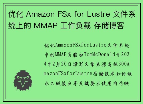 优化 Amazon FSx for Lustre 文件系统上的 MMAP 工作负载 存储博客